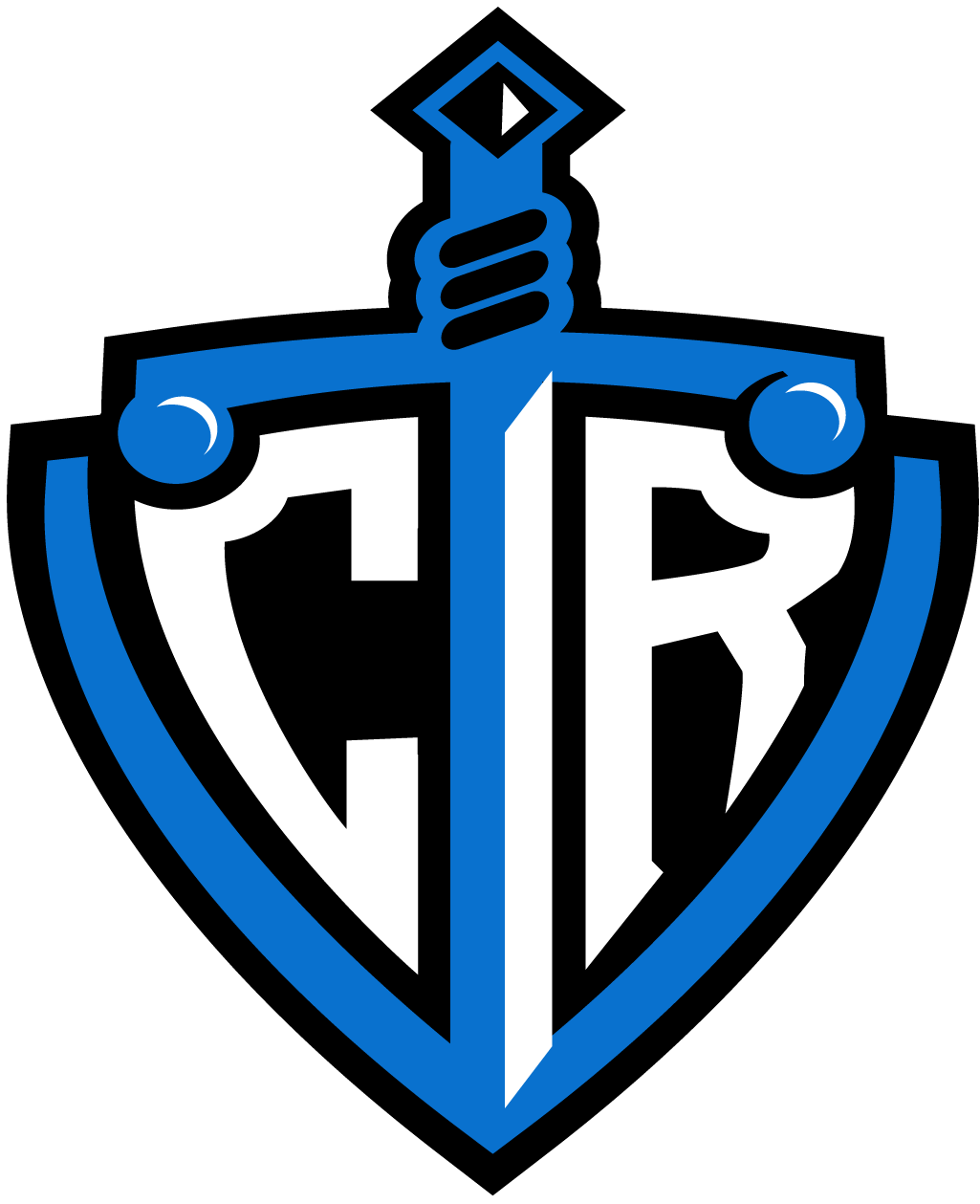 Cedar Rapids Titans 2012-Pres Secondary Logo iron on transfers for clothing
